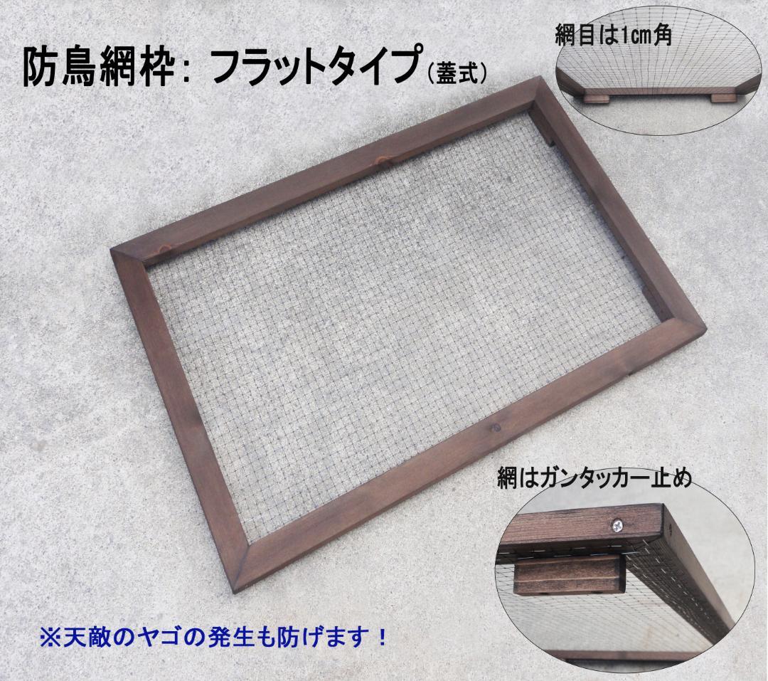 ビオトープ 40Ｌ　トロ舟木枠セット（フラット防鳥網付き）　メダカ・金魚飼育用