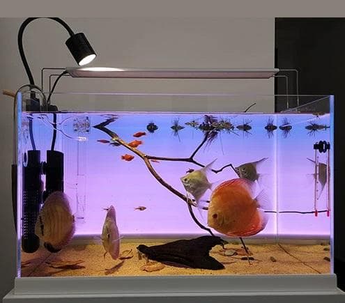 【lcl43】カラーLEDライトスクリーン 45cm x 30cm