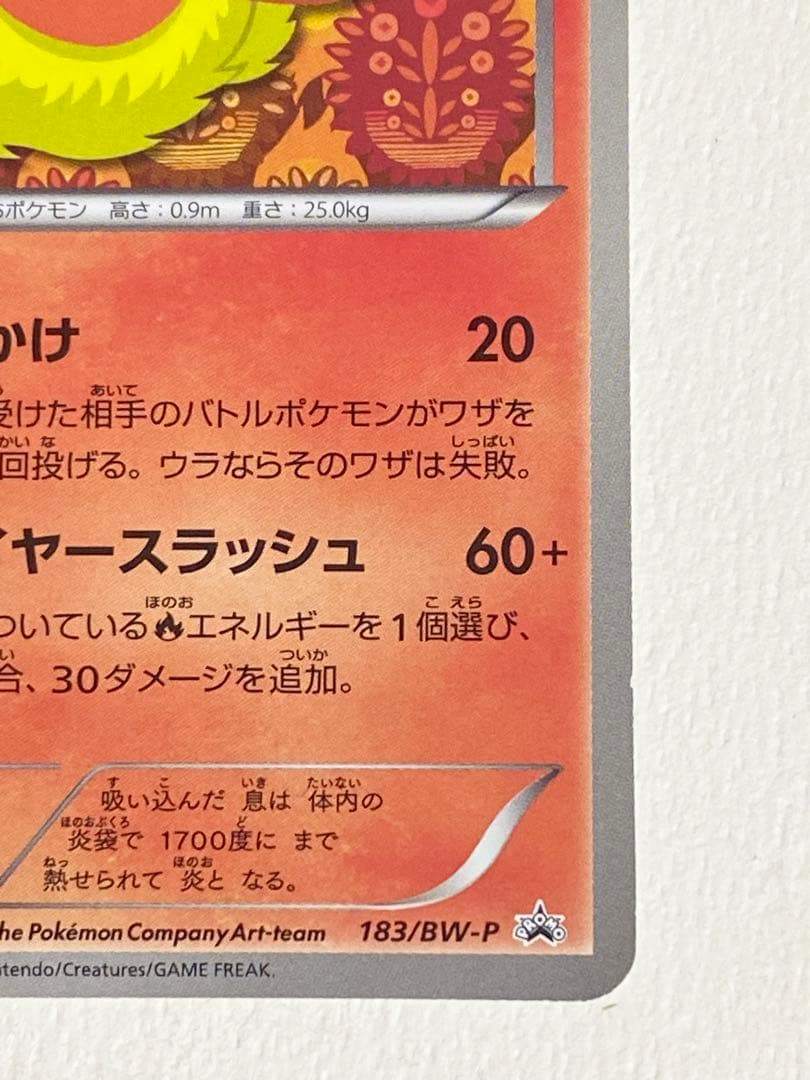 ポケモンカード　bw-p ブースター　イーブイコレクション　ファイル　プロモ