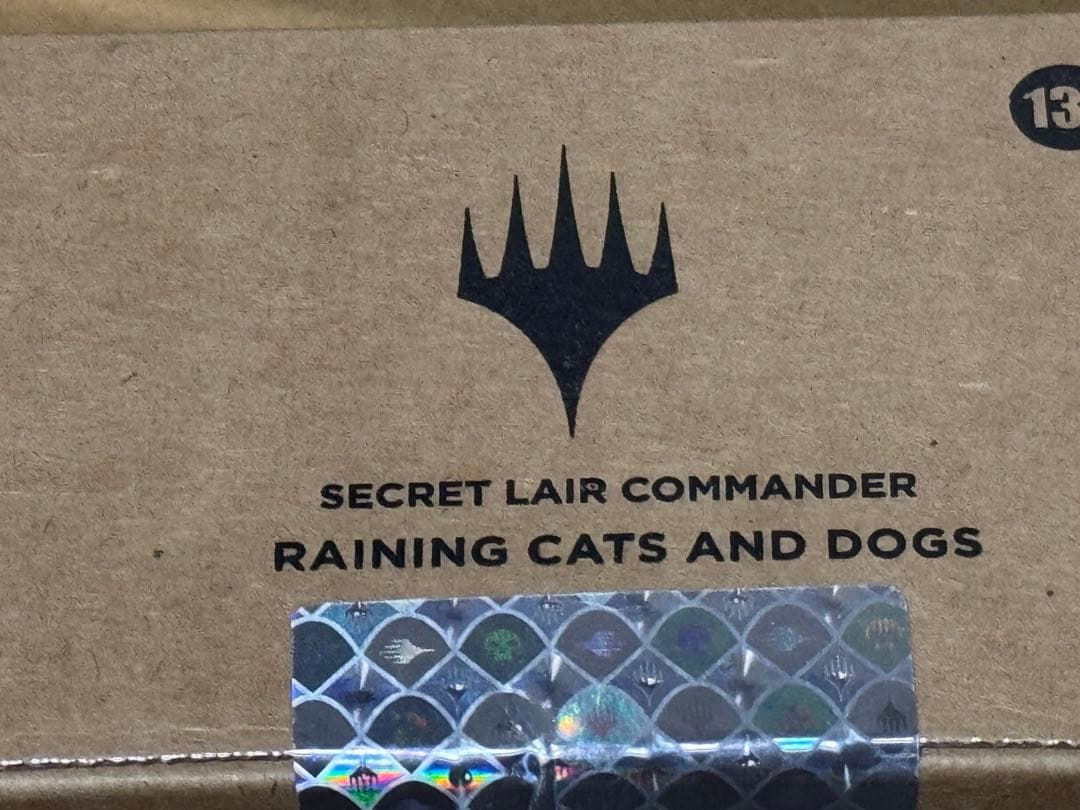マジック：ザ・ギャザリング MTG SecretLair RAINING CATS AND DOG