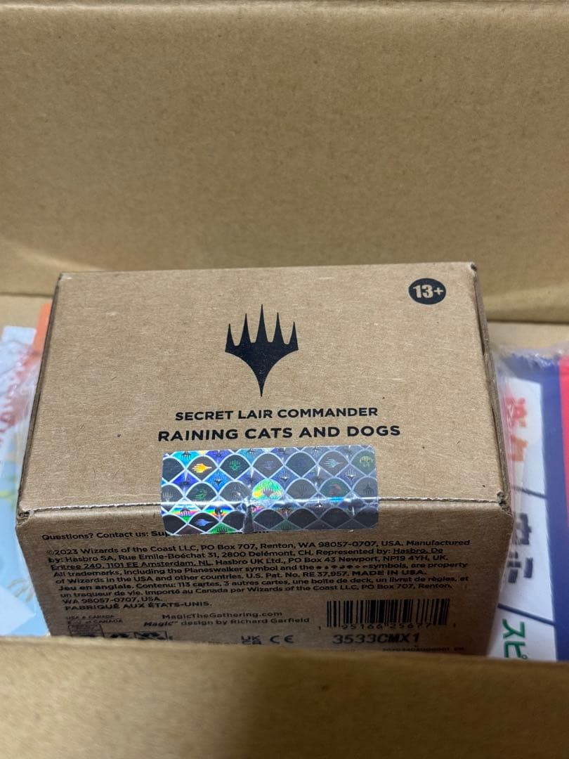 マジック：ザ・ギャザリング MTG SecretLair RAINING CATS AND DOG