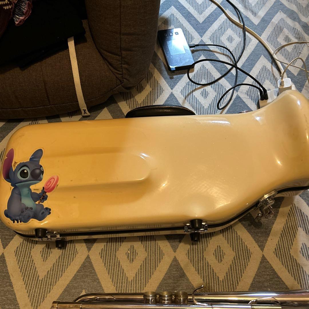 今日限定最終値下げ！YAMAHA Xeno YTR8335 RG