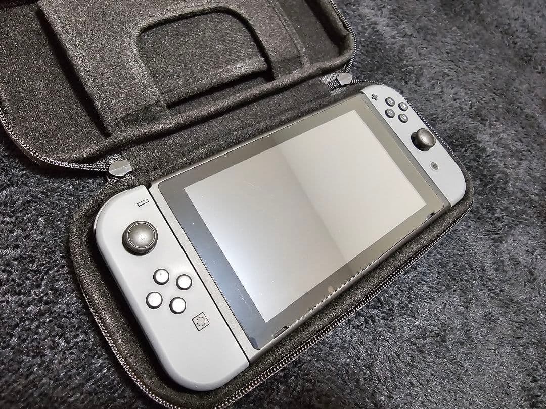 Nintendo Switch グレー 本体 充電器・ドック・ケース付き
