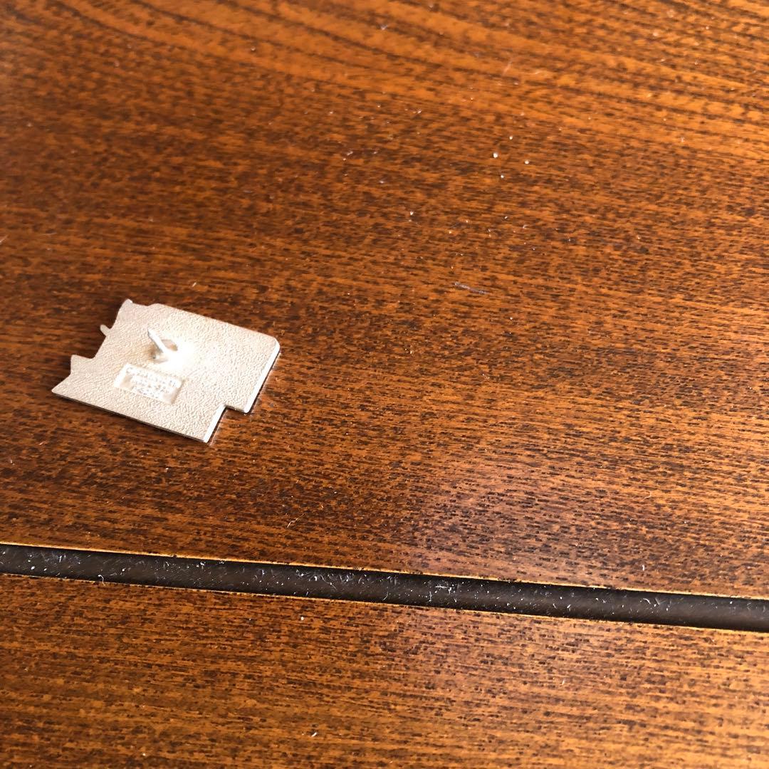 当時モノ 長野オリンピック 記念バッジ NAGANO スキージャンプ  ピン裏無