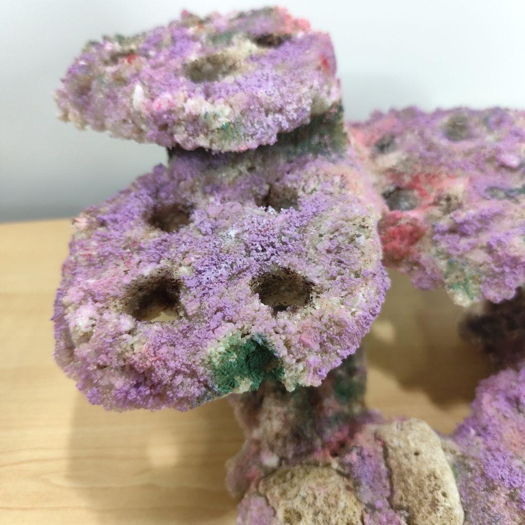 ✐プラグ穴付き 新品 人工ライブロック 60cm海水水槽用 レプリカ 安い1