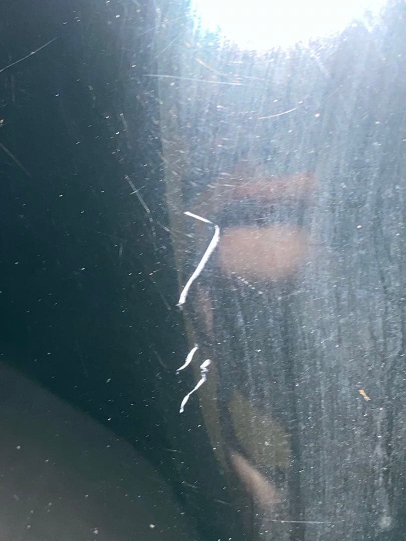 Edna＊エレキギター トーカイ シルバースター ビンテージ