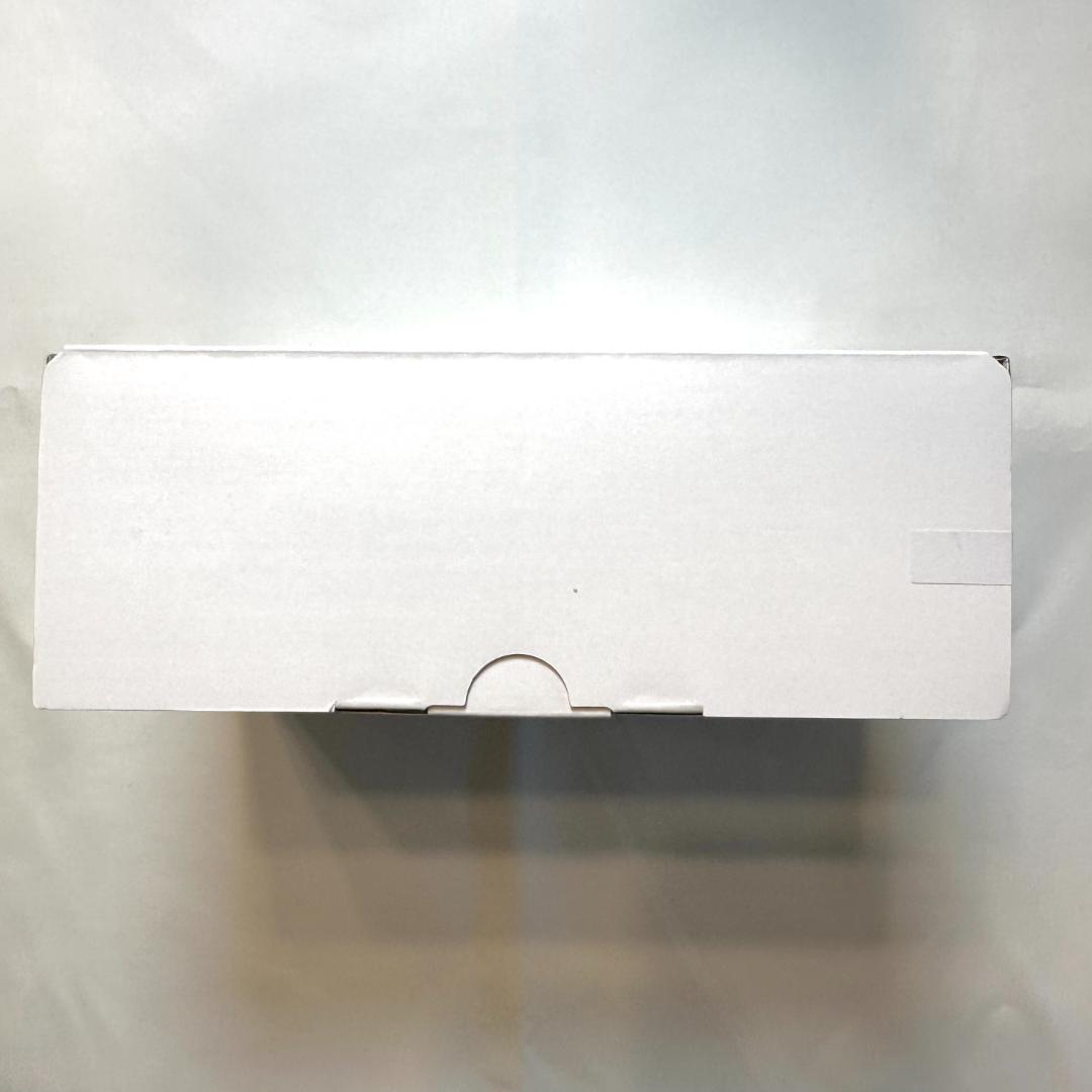 SONY REON POCKET PRO RNPK-P1 レオンポケット