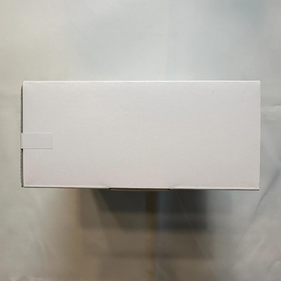 SONY REON POCKET PRO RNPK-P1 レオンポケット