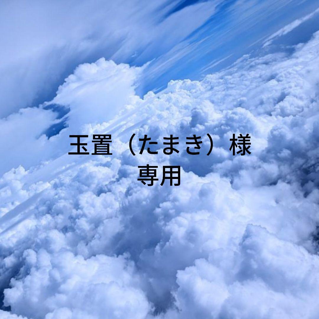 玉置（たまき）