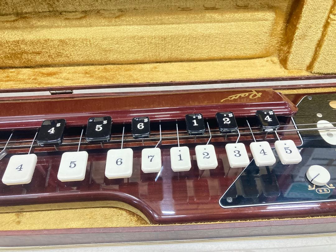 SUZUKI 電気大正琴 蘭BASS バス ベース 低音 希少 美品 専用ケース