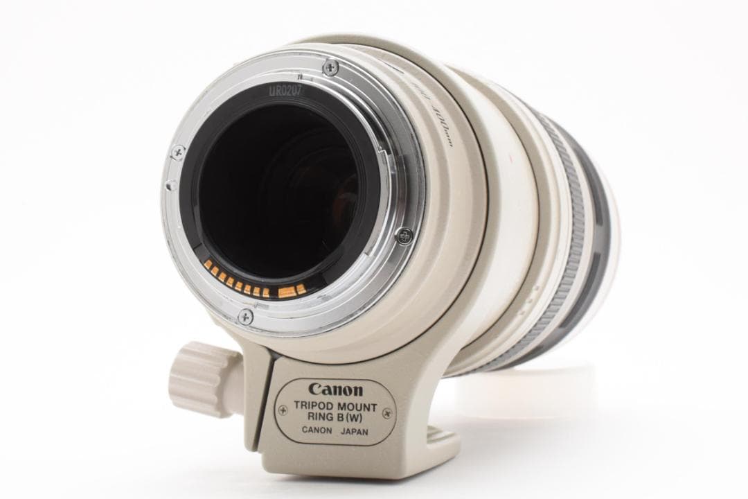 ★美品★Canon EF 100-400mm F4.5-5.6 L IS USM