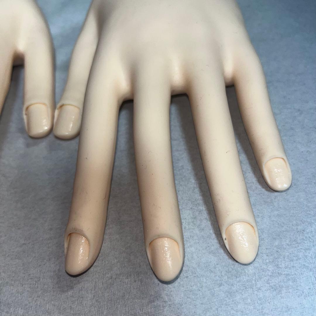 認定モデルハンド