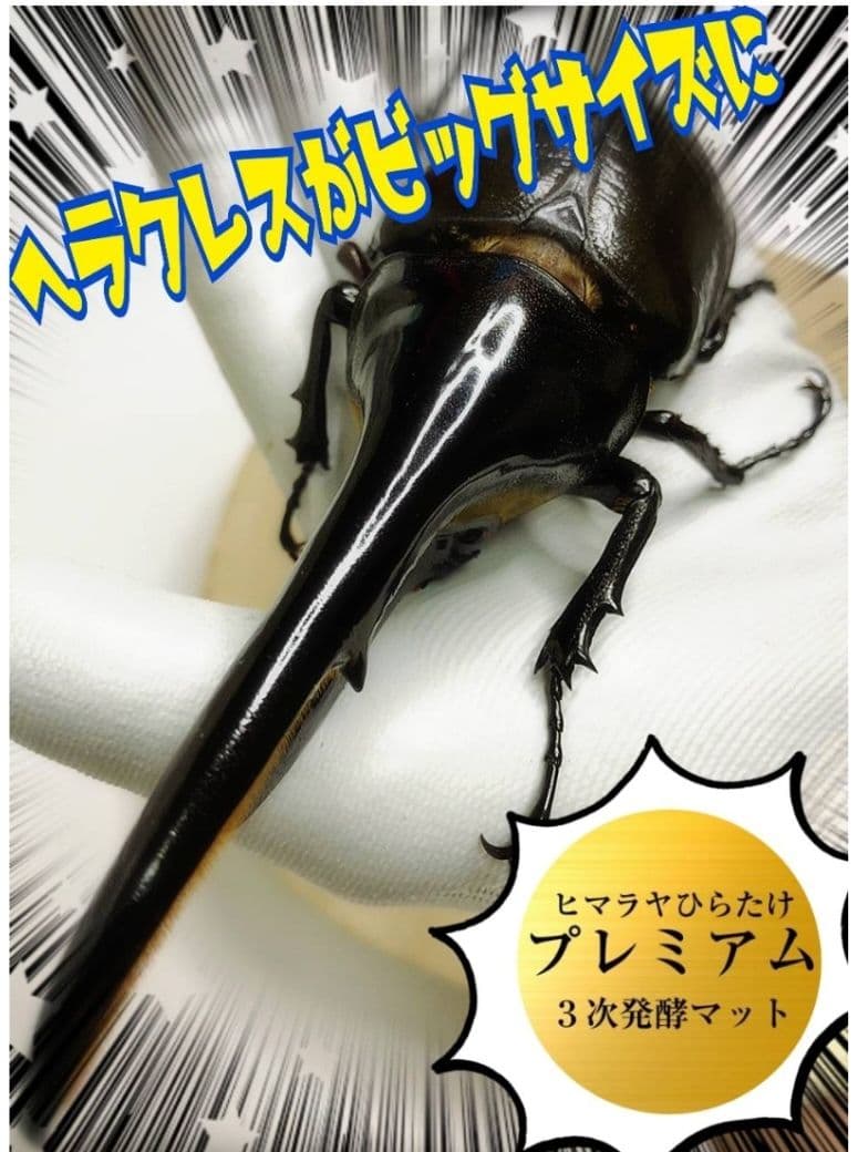 カブトムシ幼虫が大きくなる！プレミアム発酵マット50L特殊アミノ酸配合！産卵にも