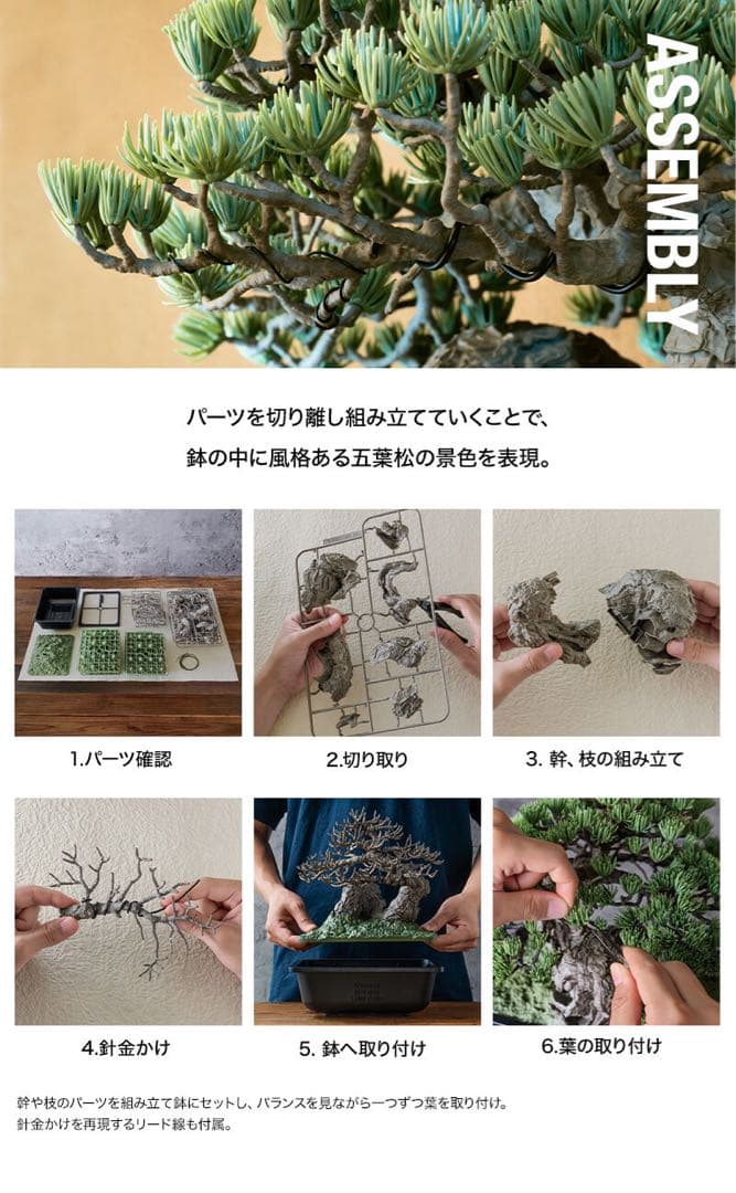 その他 SRL X BANDAI SPIRITS . BONSAI MODEL KIT