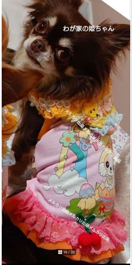 J＆Kanimals　はるちゃんワンピース　限定ワンピース　廃盤品　３ＳーＬ