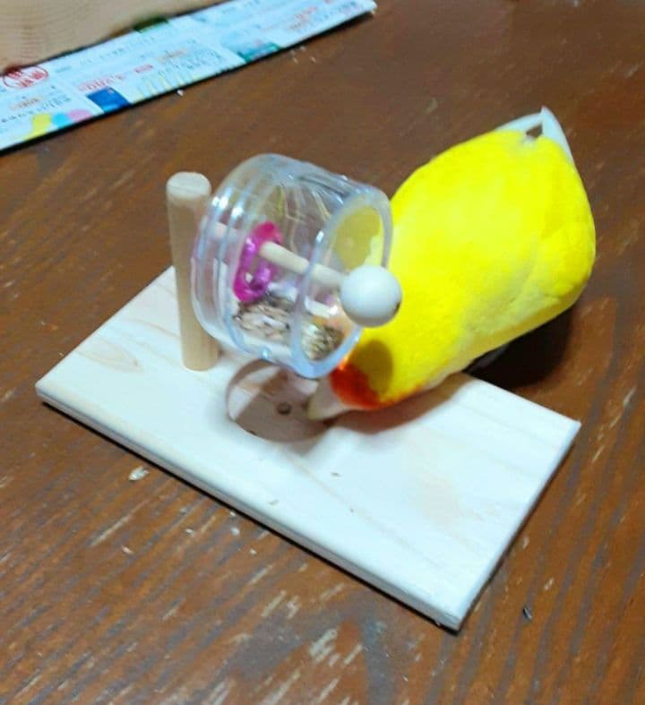 A8　くるくるフォージントイ3点イセット　バードトイ　難易度高め⭐⭐