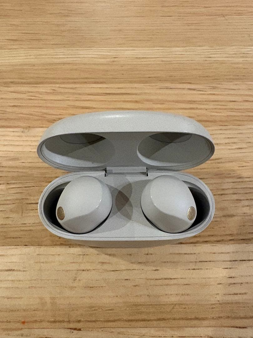 イヤホン SONY WF-1000XM5 S