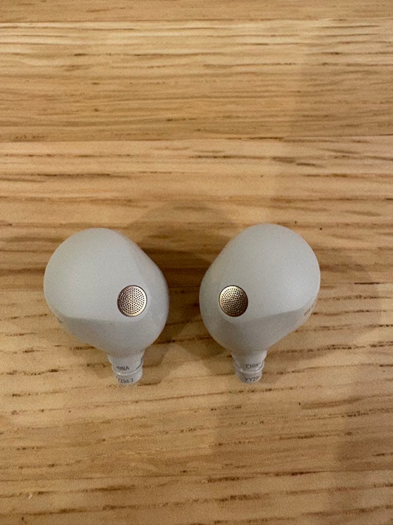 イヤホン SONY WF-1000XM5 S