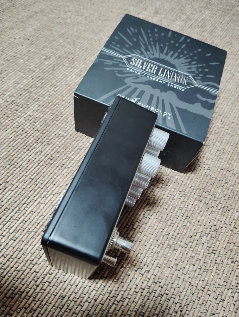 ギター DSM HUMBOLT SILVER LININGS