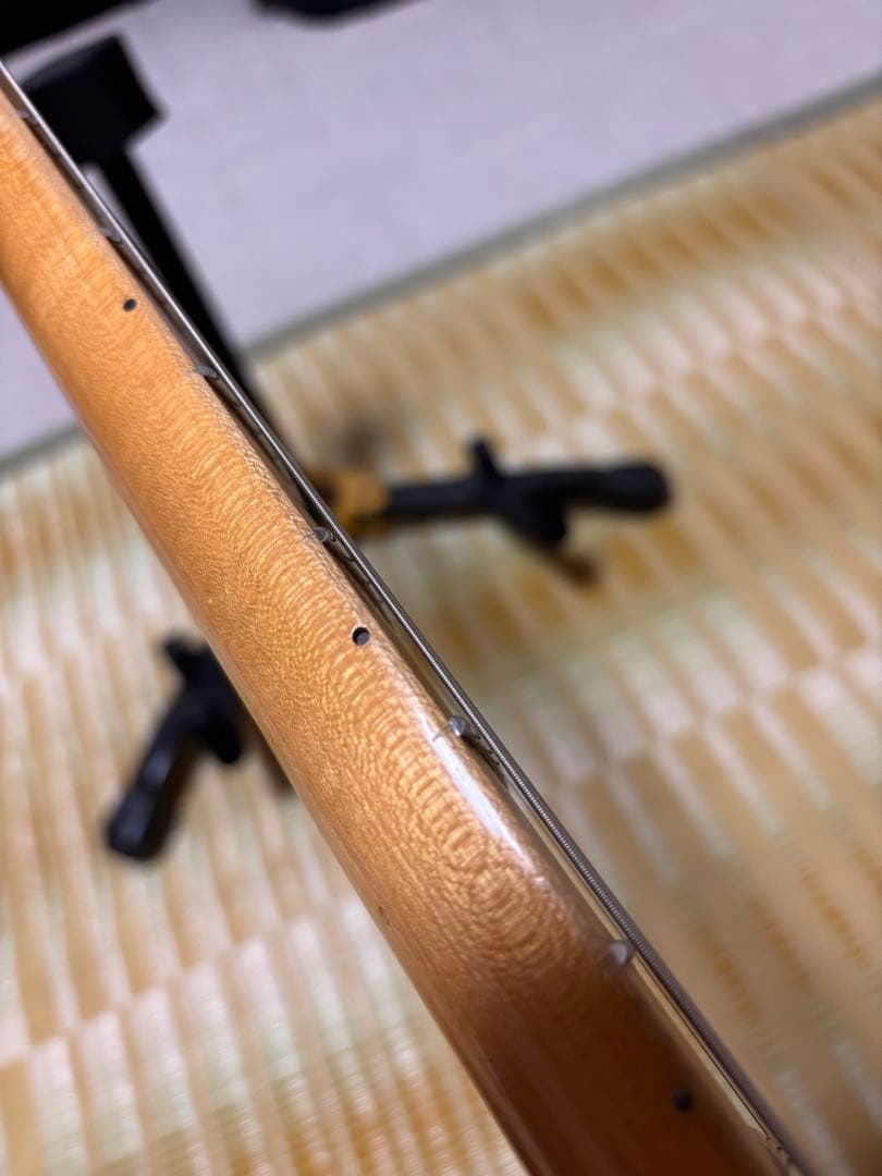 最終値下げSeymourDuncan DS-95 ステンレスフレット