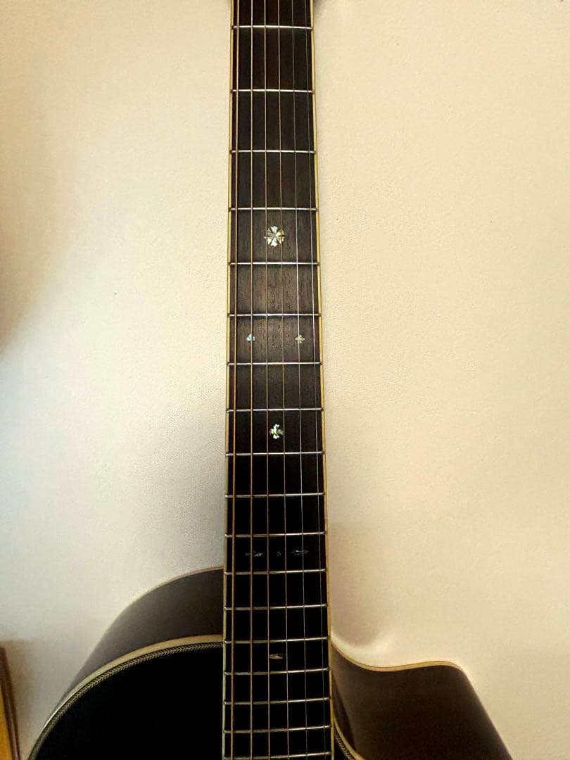 Syairi YE-58/3TS エレアコ