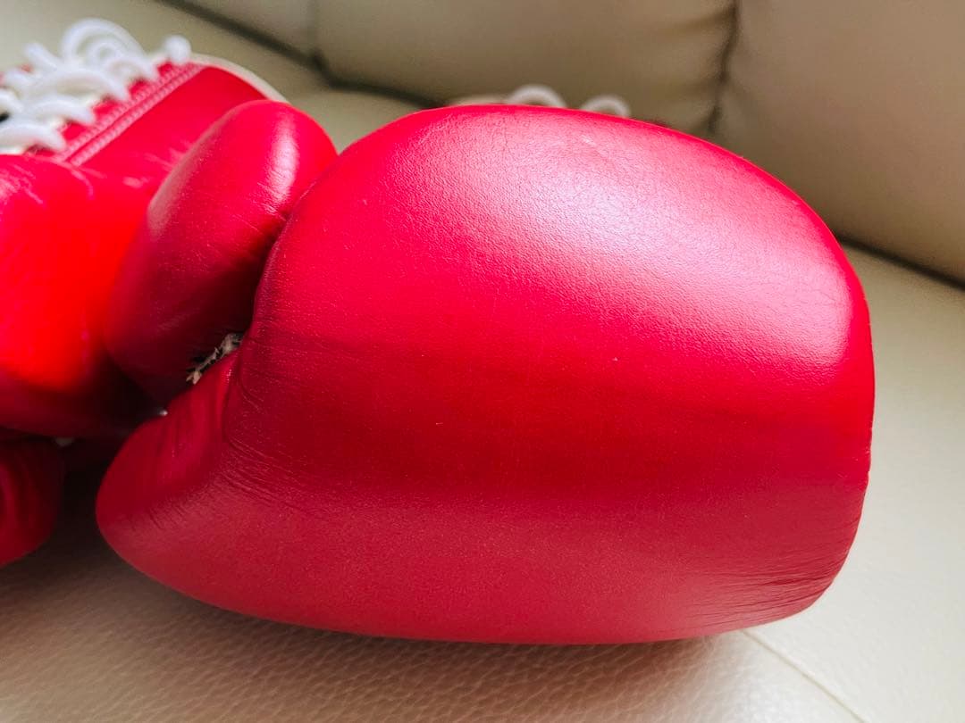 【レア品】Winning ボクシンググローブ 8oz 長谷川穂積さんサイン入り