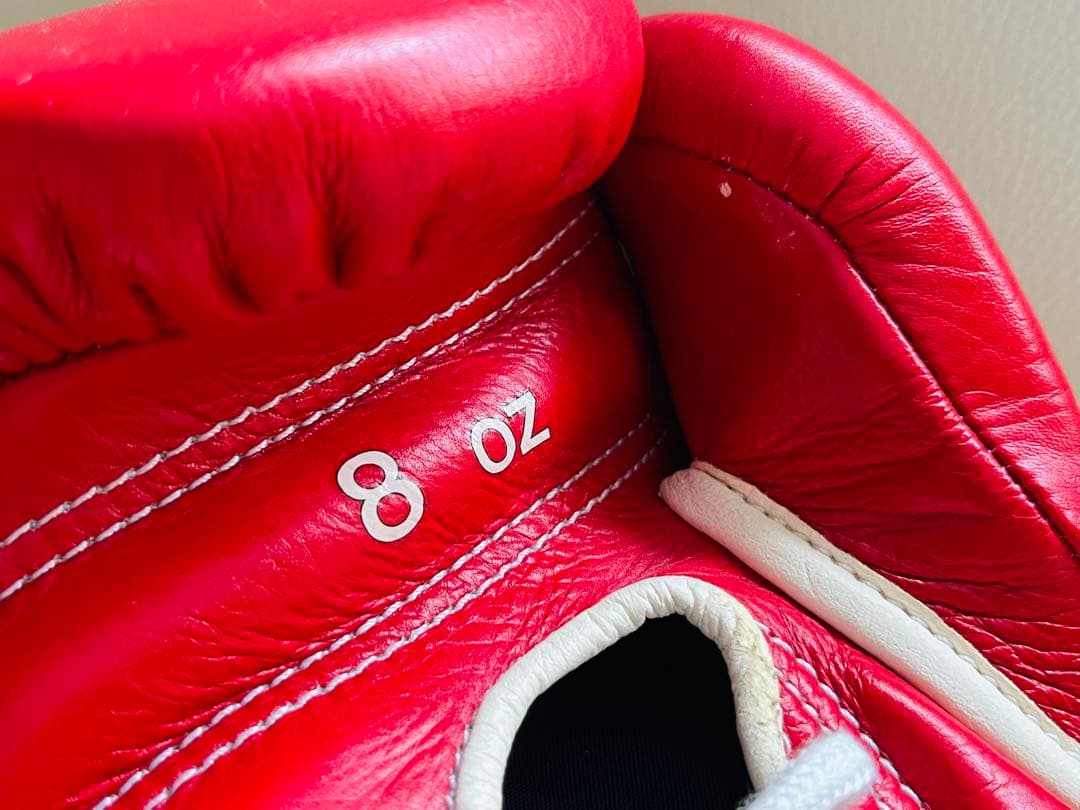 【レア品】Winning ボクシンググローブ 8oz 長谷川穂積さんサイン入り