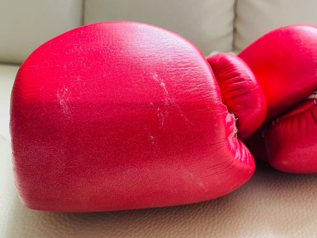 【レア品】Winning ボクシンググローブ 8oz 長谷川穂積さんサイン入り