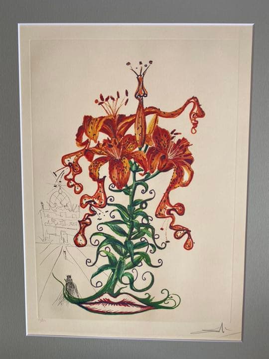 サルバドール・ダリ銅版画 「タイガーリリー虎百合」1972年作品 ダリ直筆サイン