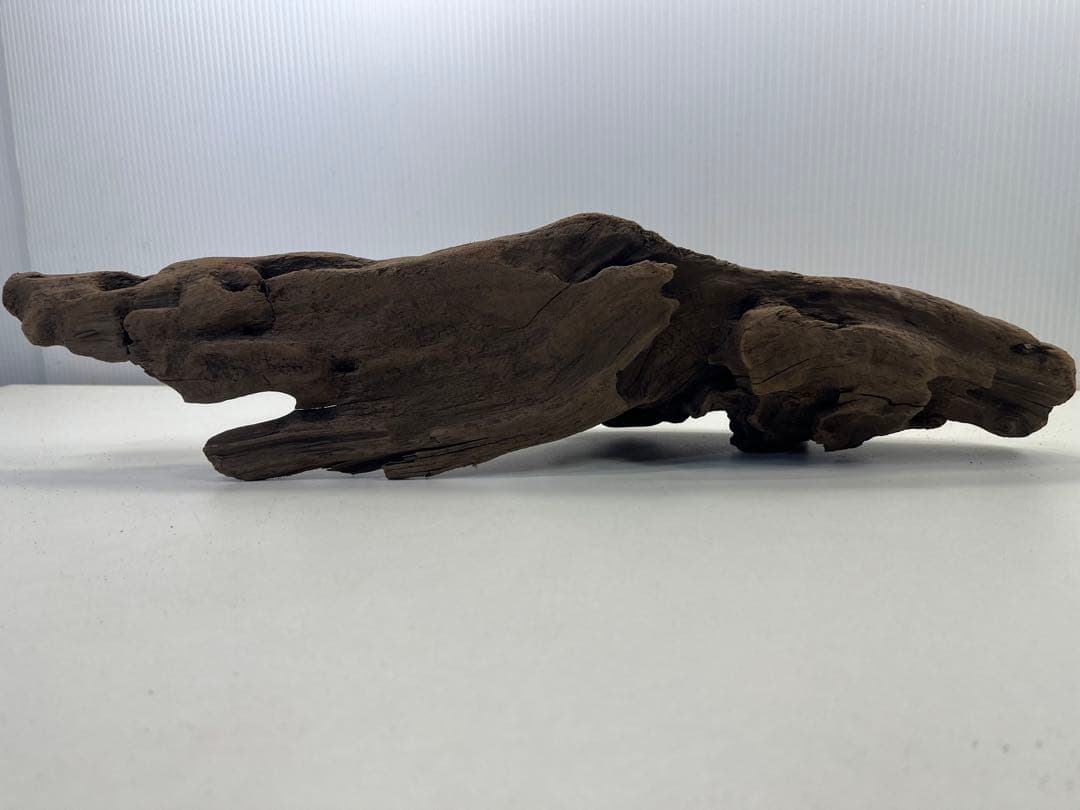 k42アク抜き済み流木 爬虫類シェルター レイアウト用 インテリア エアプランツ