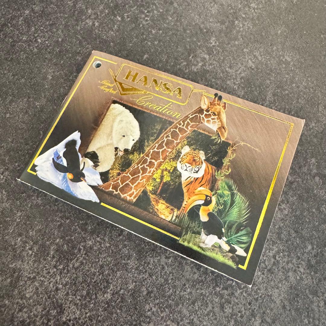 HANSA （ハンサ）ノルウェージャンフォレストキャット