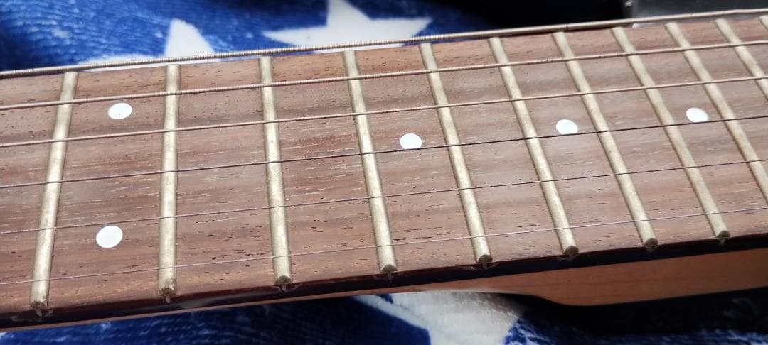 フェルナンデス　 サスティナー付き レフティ仕様