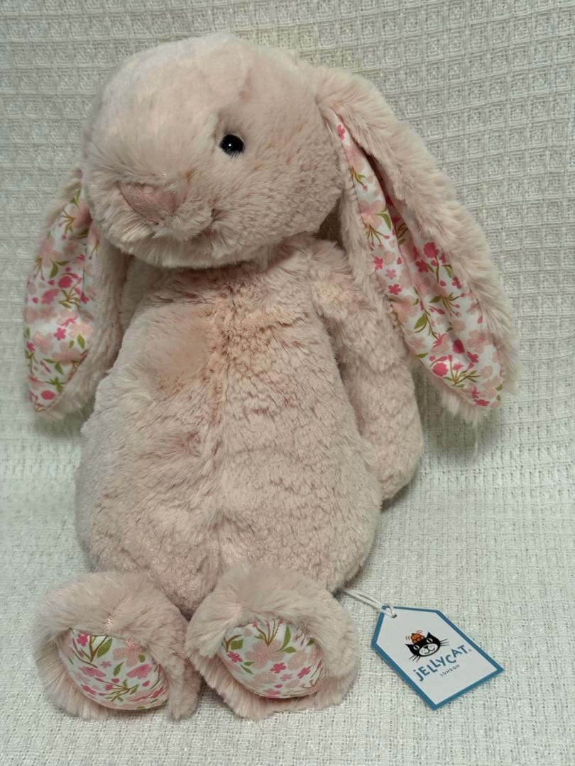 ジェリーキャットBlossom Blush Bunny 'Cherry （M)