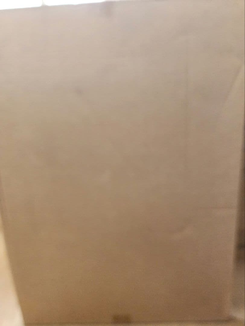 魔法先生ネギま 近衛木乃香 等身大パネル 未開封