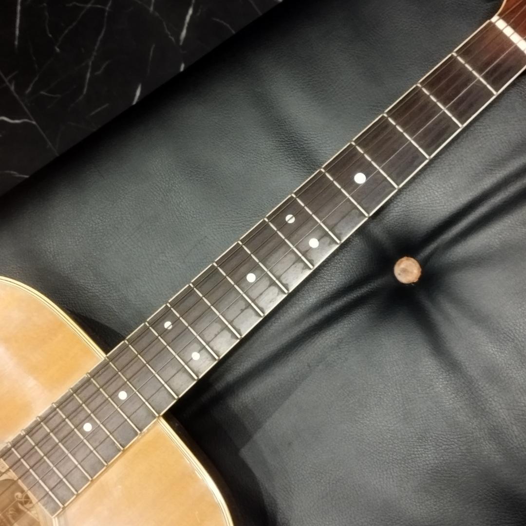 Aria ＆ co アコースティックギター　W-200