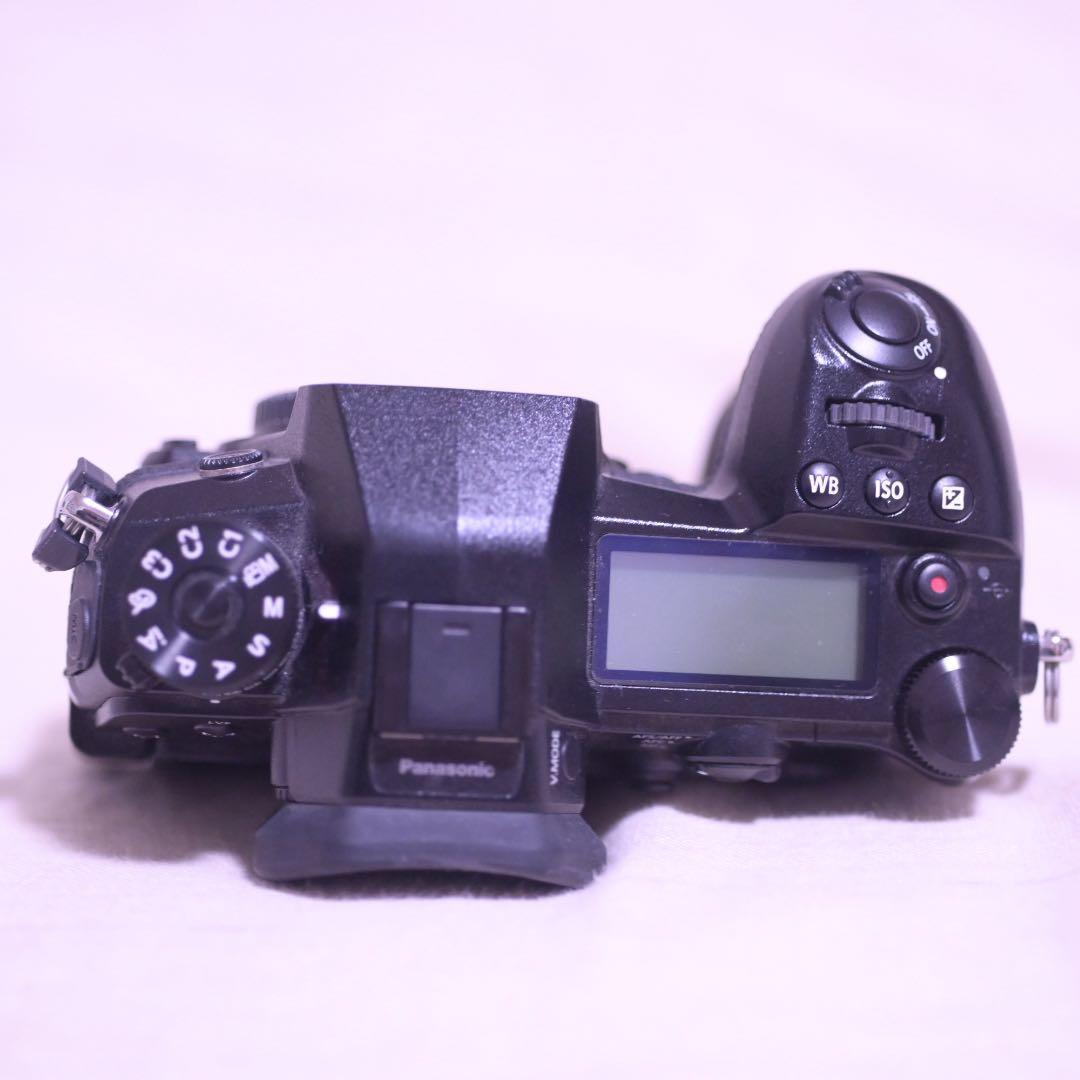 LUMIXG9 PRO ショット数　135回