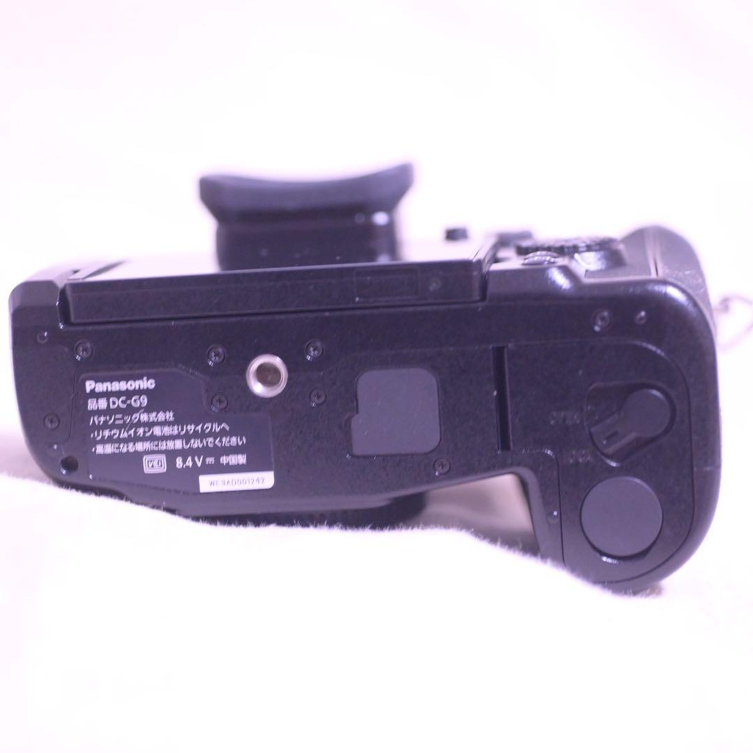 LUMIXG9 PRO ショット数　135回