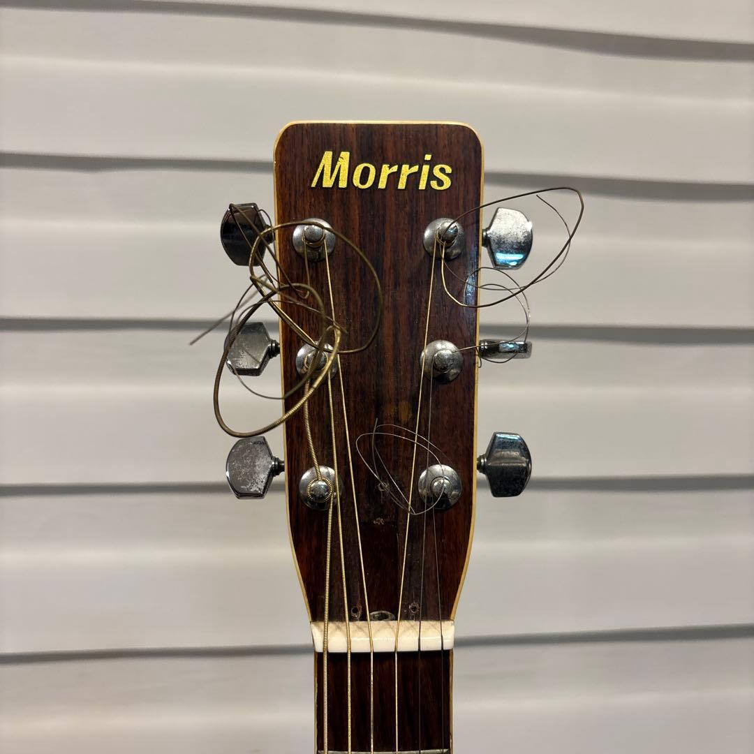 Morris モーリス FD-20 1975 アコースティックギター