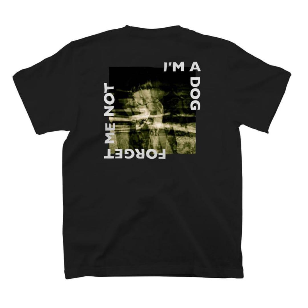 シンガーズハイ 引退品