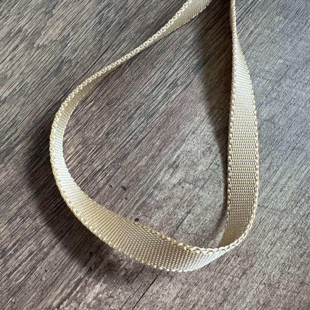 バディベルト　 BB バハマ 4号　 アクセントリード