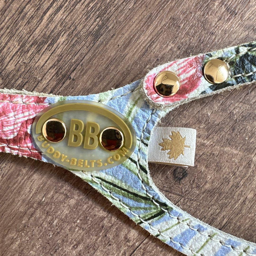 バディベルト　 BB バハマ 4号　 アクセントリード