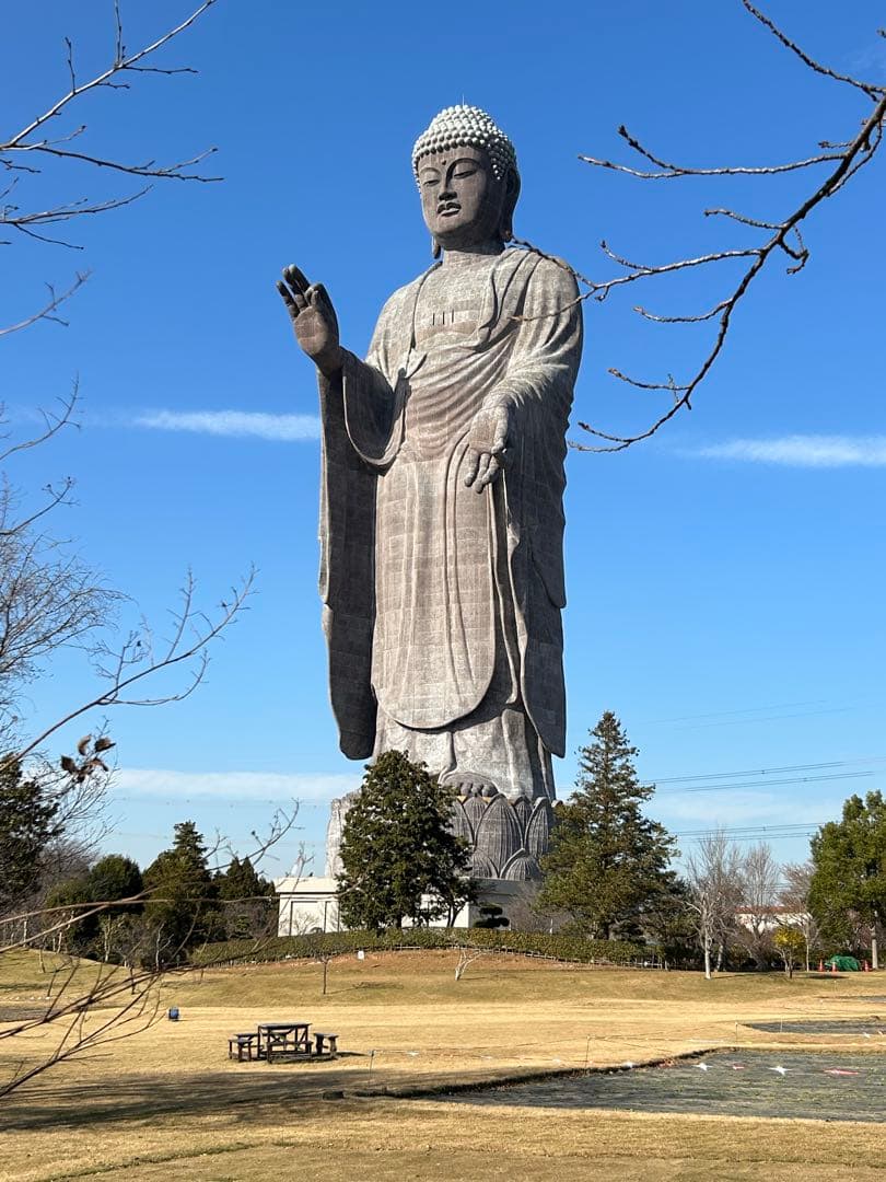現地購入！牛久大仏　ブロンズ像フィギュア　運気アップ！置き物 仏像 茨城県