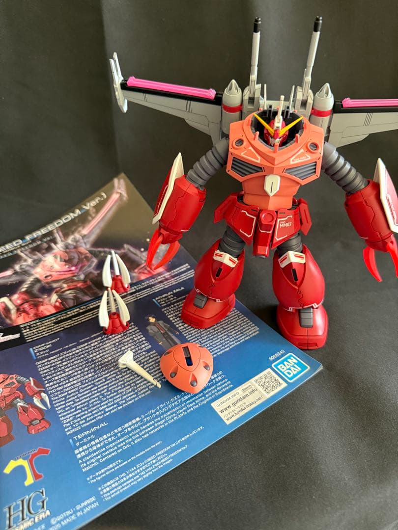 HG ズゴック SEED 、キャバリアー 、EG ストライク 全塗装　完成品