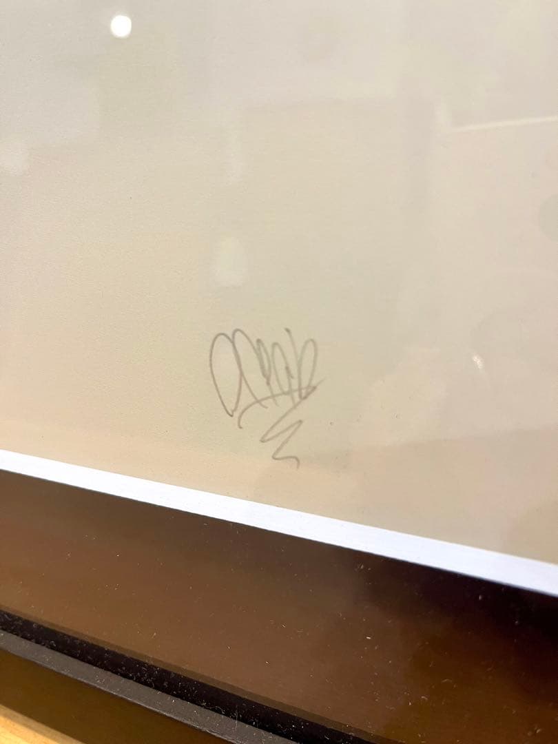 GIRUVI Pachypodium Gracilius グラキリス