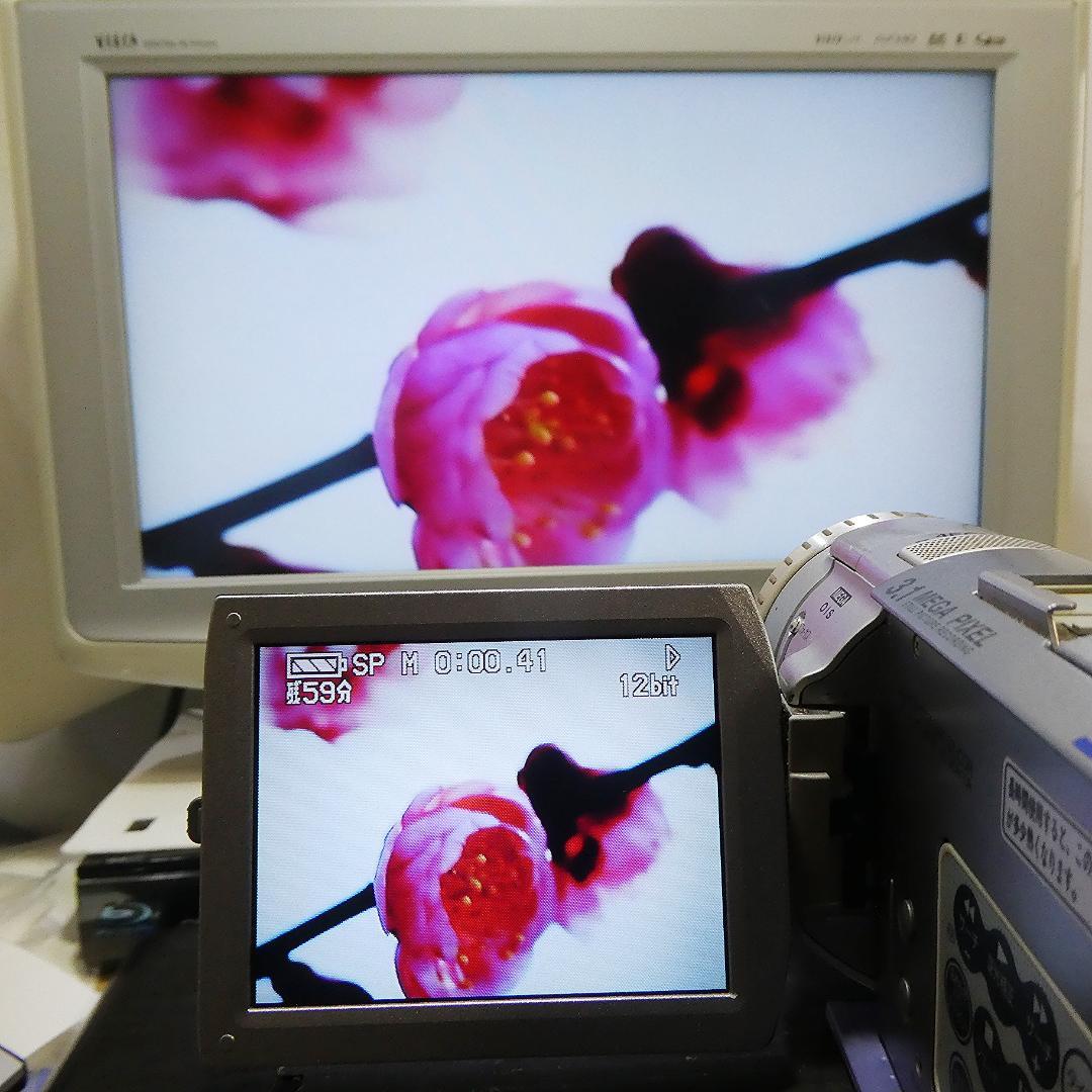 動作良好 パナソニックNV-GS100 MiniDVビデオカメラ　DVD化に最適