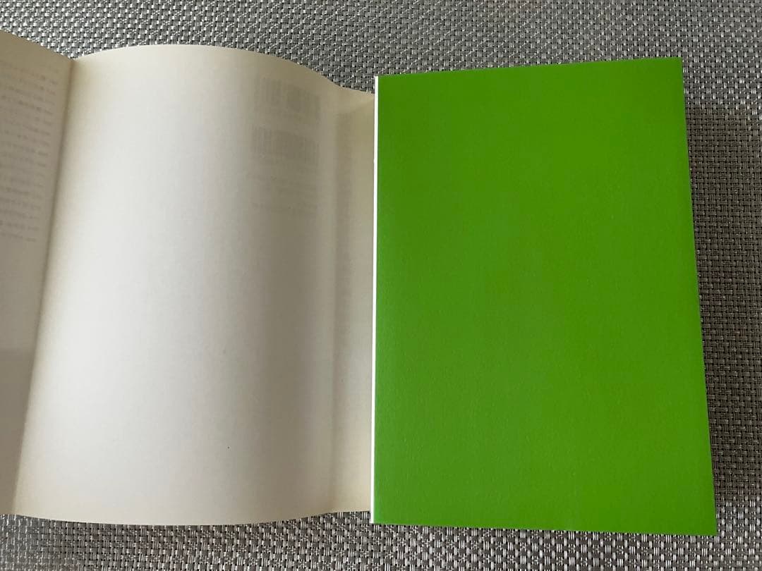 トランサーフィン鏡の「超」法則 : リンゴが空へと落下する-奇跡の願望実現法