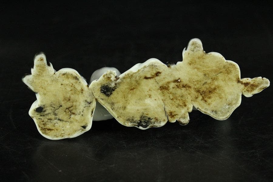 古平戸 唐子 筆架 文房具 時代物(K-YC455)