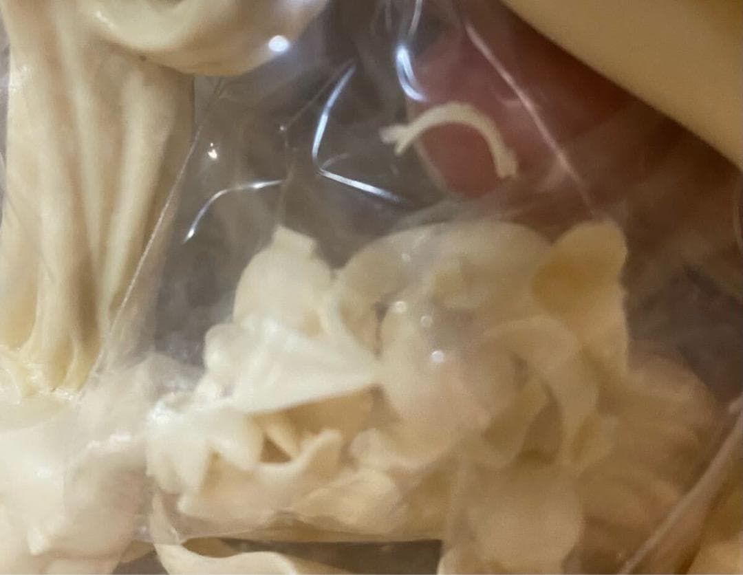 海洋堂 ランス シリーズ ワーグ ガレージキット 鬼畜王ランス アリスソフト