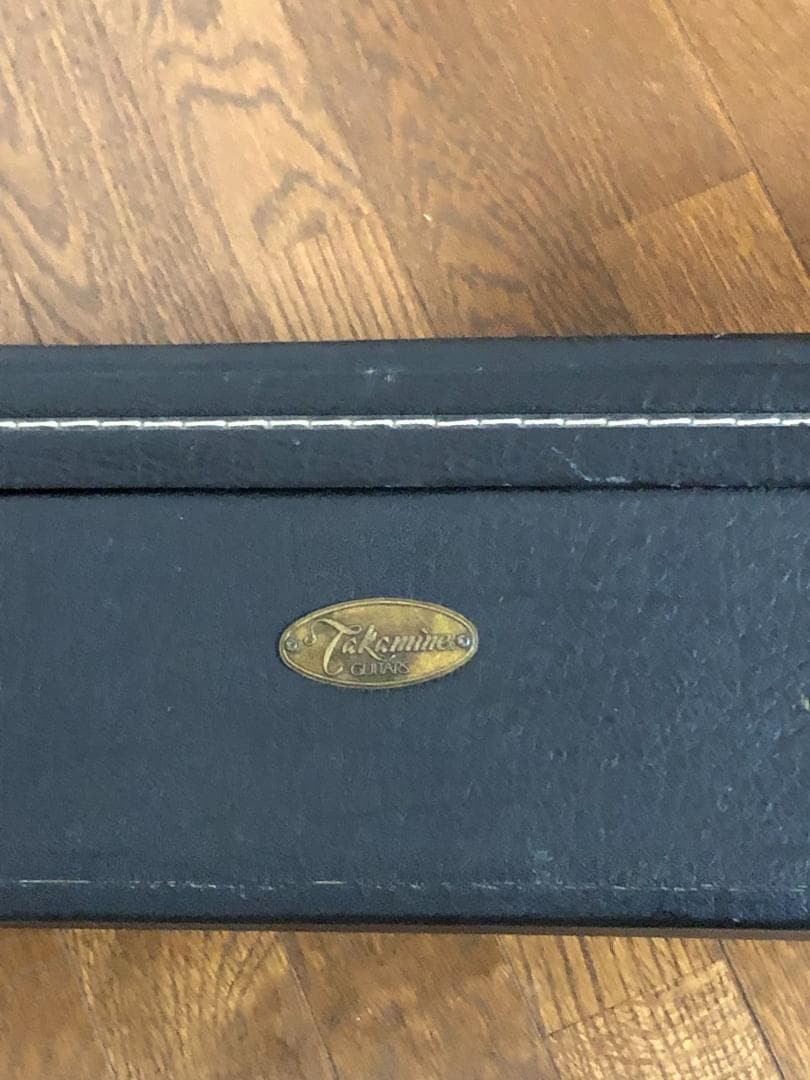 ■タカミネ　エレアコPT106■