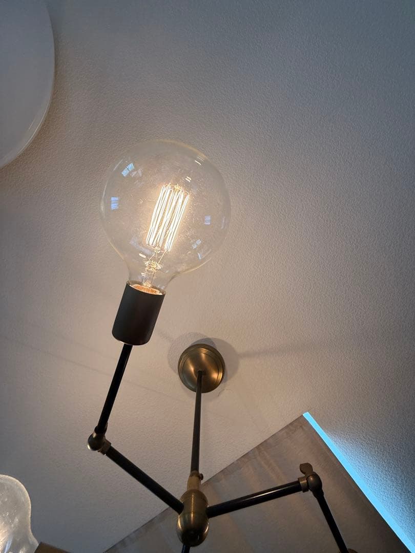 【12/26限定値引き】ACME ランプ アクメファニチャー